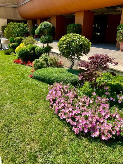 نگهداری فضای سبز. طراحی فضای سبز. محوطه سازی.روفگا|خدمات باغبانی و درختکاری|تهران, پاسداران|دیوار