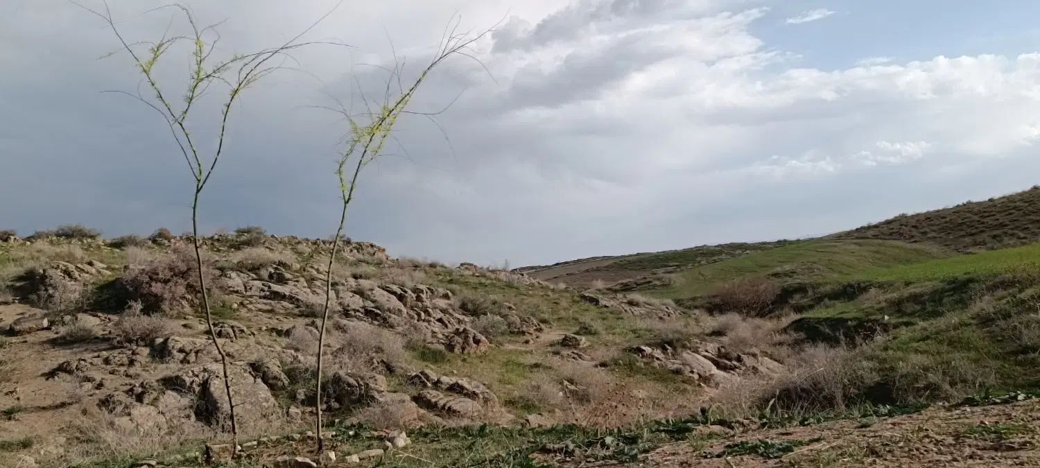 قطعات زمین سند ملکی رباط خاکستری حاشیه جاده اصلی|فروش دفتر صنعتی، کشاورزی، تجاری|مشهد, طرق|دیوار