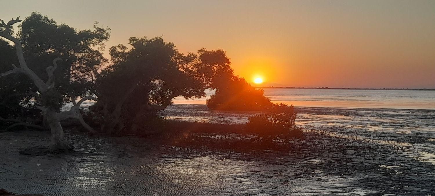 تور گشت جزیره زیبای قشم باتویوتا کرولاوتویوتا کمری|تور و چارتر|قشم, |دیوار