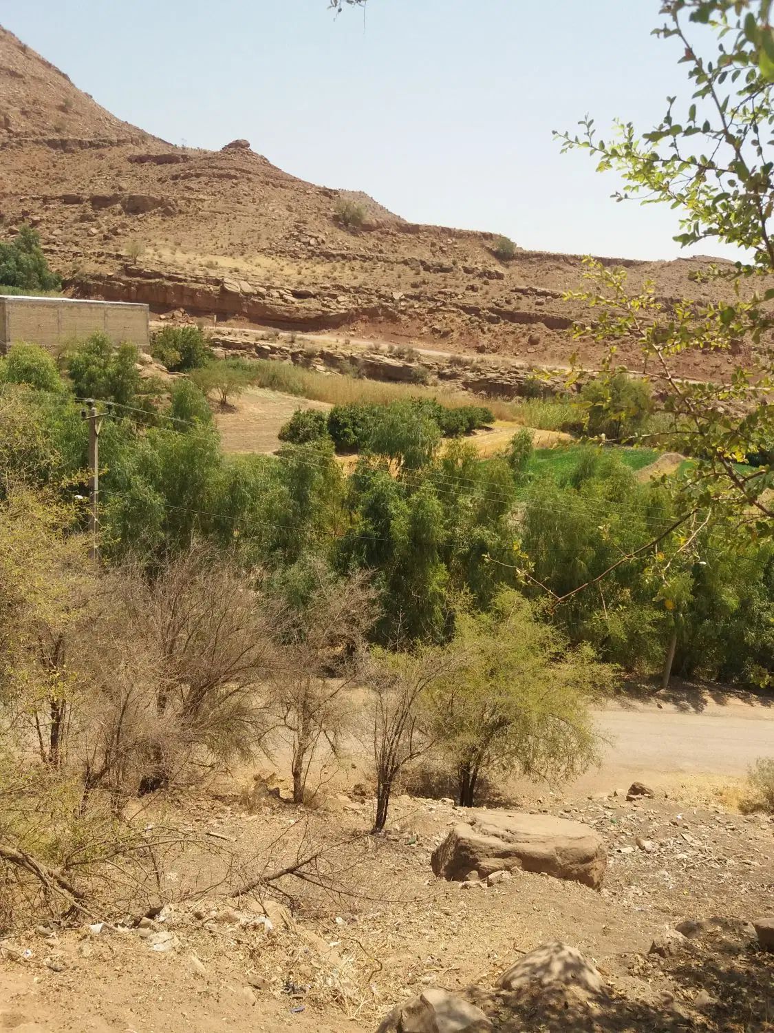 زمین در روستای گردشگری لب سفید  برای فروش|فروش زمین و ملک کلنگی|سردشت, |دیوار