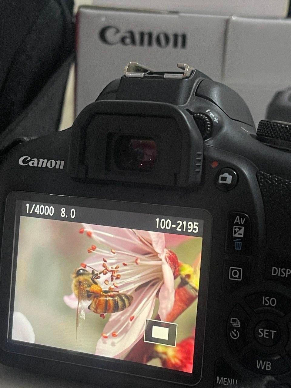 دوربین عکاسی و فیلمبرداری canon|دوربین عکاسی و فیلم‌برداری|شهریار, |دیوار