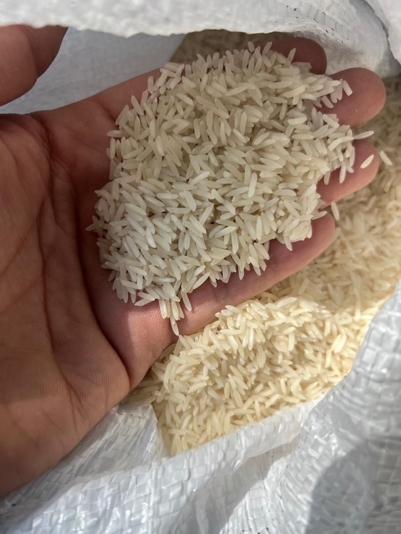 برنج شمال کشت اول (طارم هاشمی) اعلا|خوردنی و آشامیدنی|اصفهان, احمدآباد|دیوار