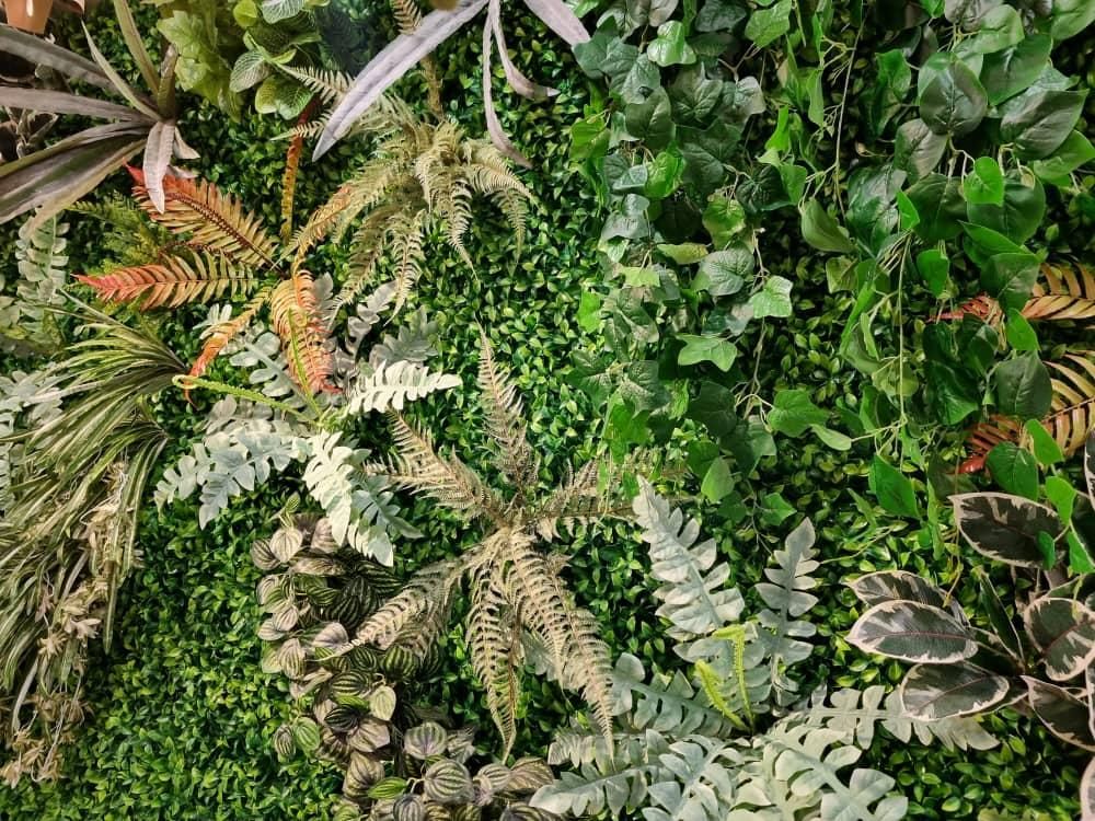 جنگلی گرین وال سرخس دیوار سبز شمال استوایی برفی|گل مصنوعی|فردیس, فردیس|دیوار