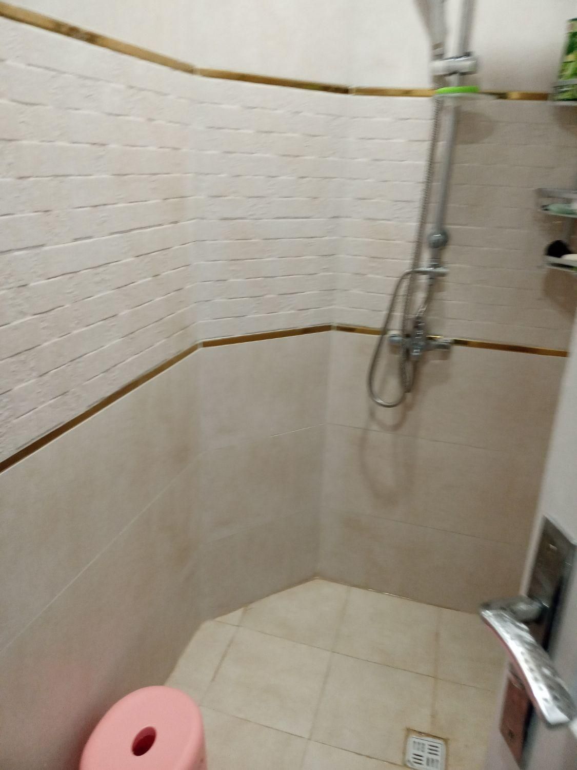 لوله کشی رفع نم رطوبت وچکه بنایی نصب‌ شیرالات|خدمات پیشه و مهارت|تهران, نیروی هوایی (پیروزی)|دیوار