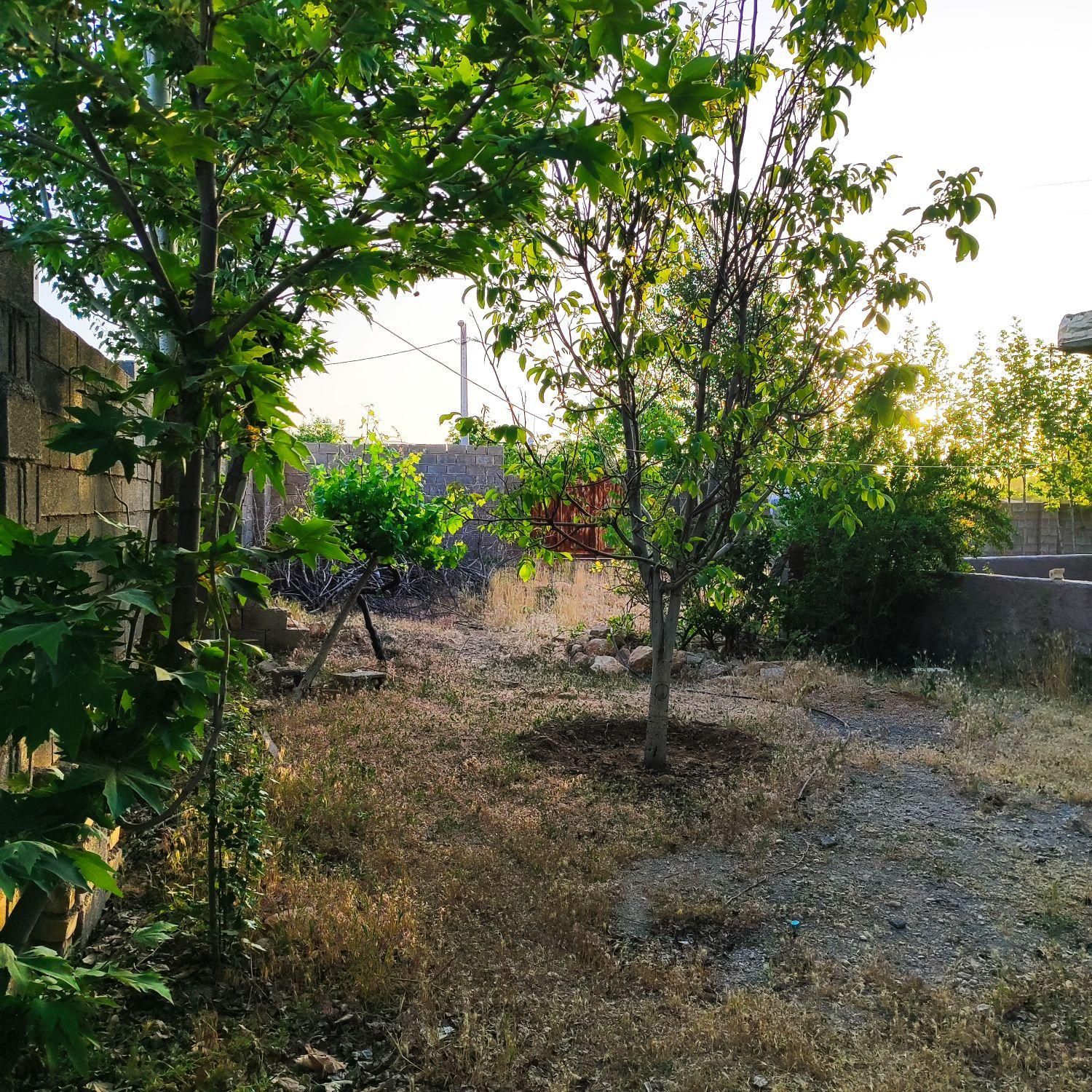 فروش باغچه1500 متری|فروش خانه و ویلا|شیراز, آبیاری|دیوار