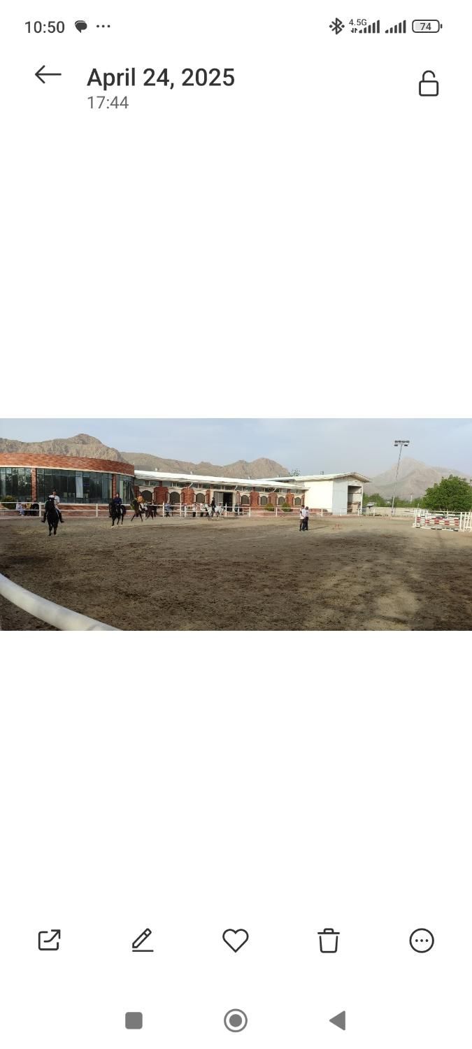 کارگر اصطبل اسب و باشگاه سوارکاری|استخدام سرایداری و نظافت|کرمانشاه, |دیوار