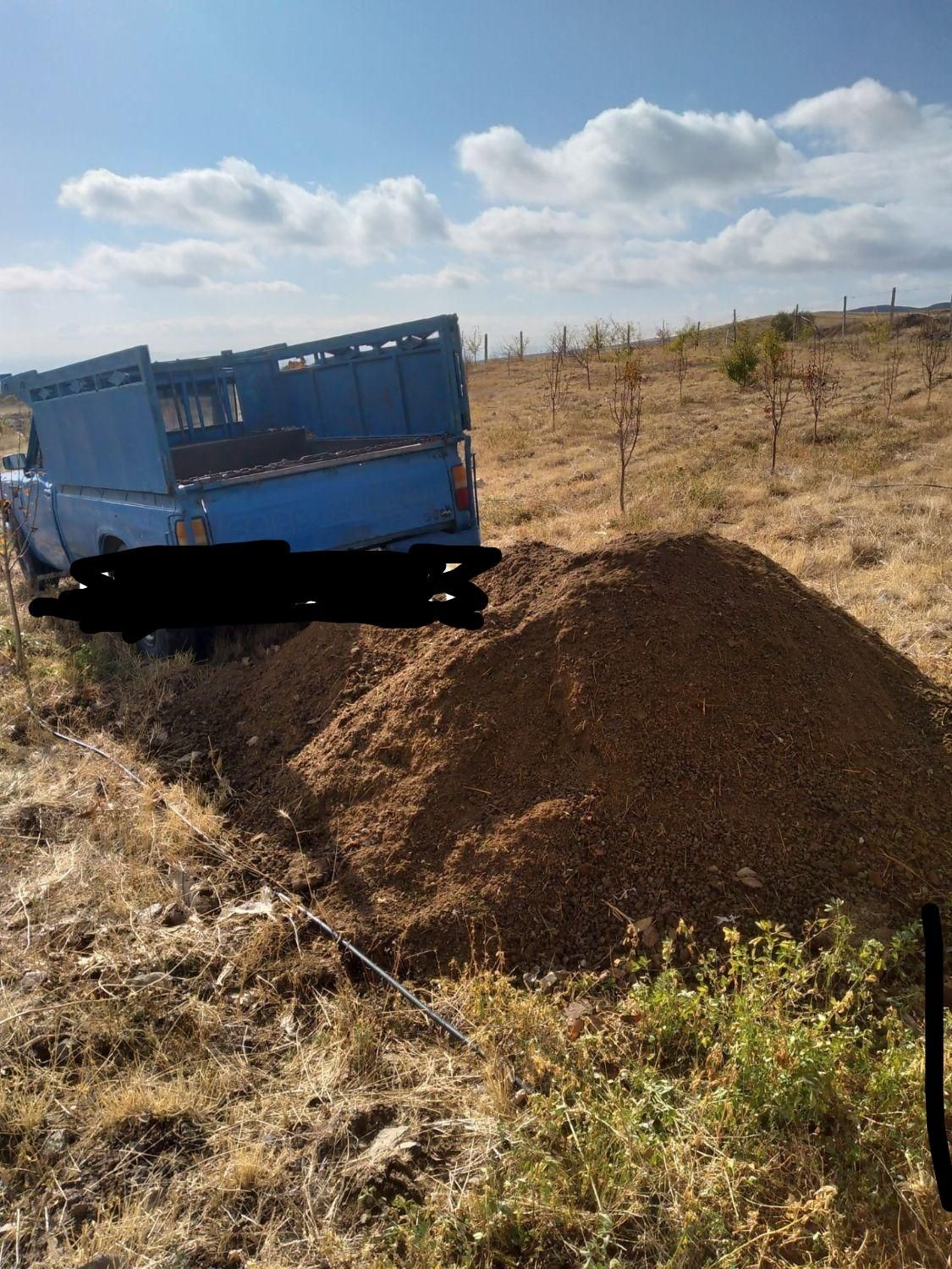 کود گوسفندی|خدمات باغبانی و درختکاری|میانه, |دیوار