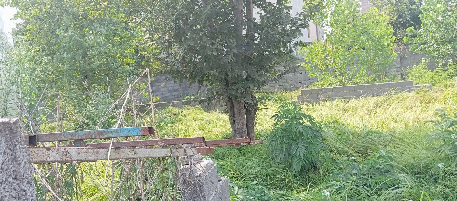 زمین تمام مسکونی ۵۴۰ متر سند تک برگ واقع در فخب|فروش زمین و ملک کلنگی|رشت, کوی حسینی|دیوار