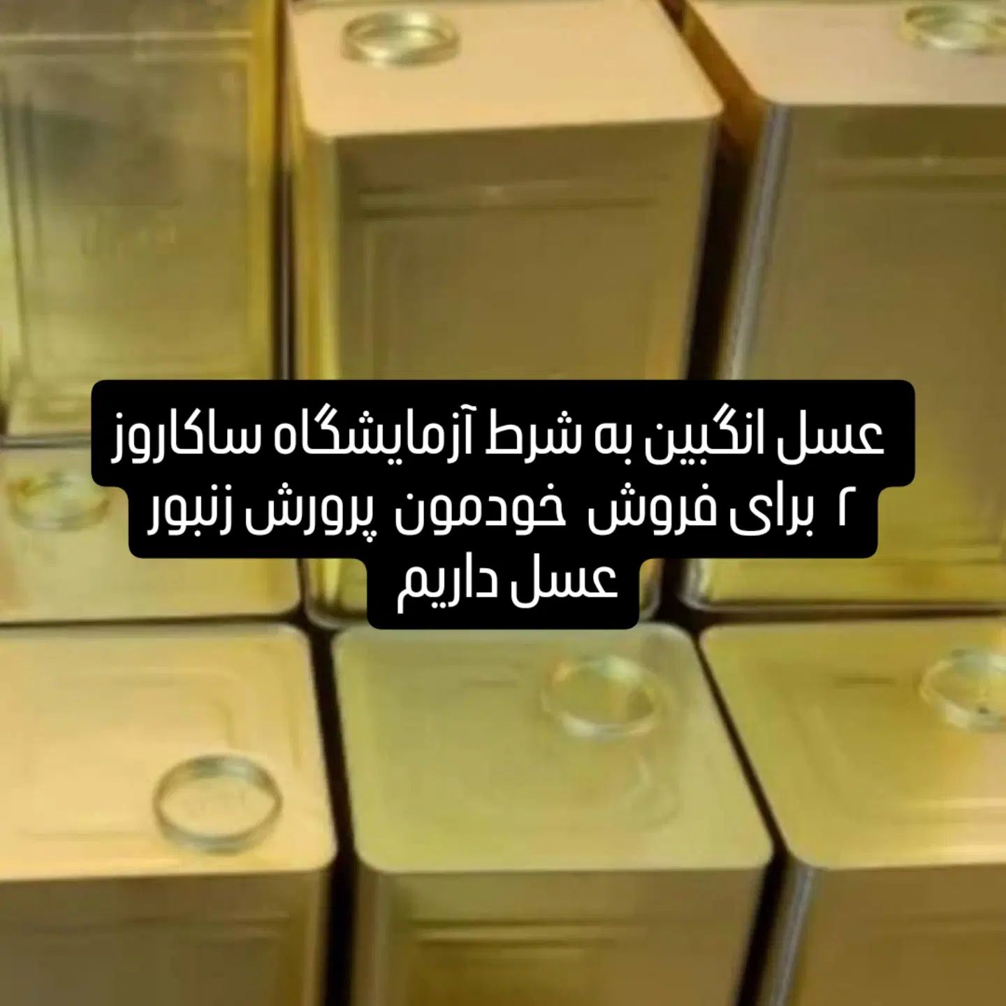عسل طبیعی کوهی و گرده گل|خوردنی و آشامیدنی|تهران, جماران (نیاوران)|دیوار