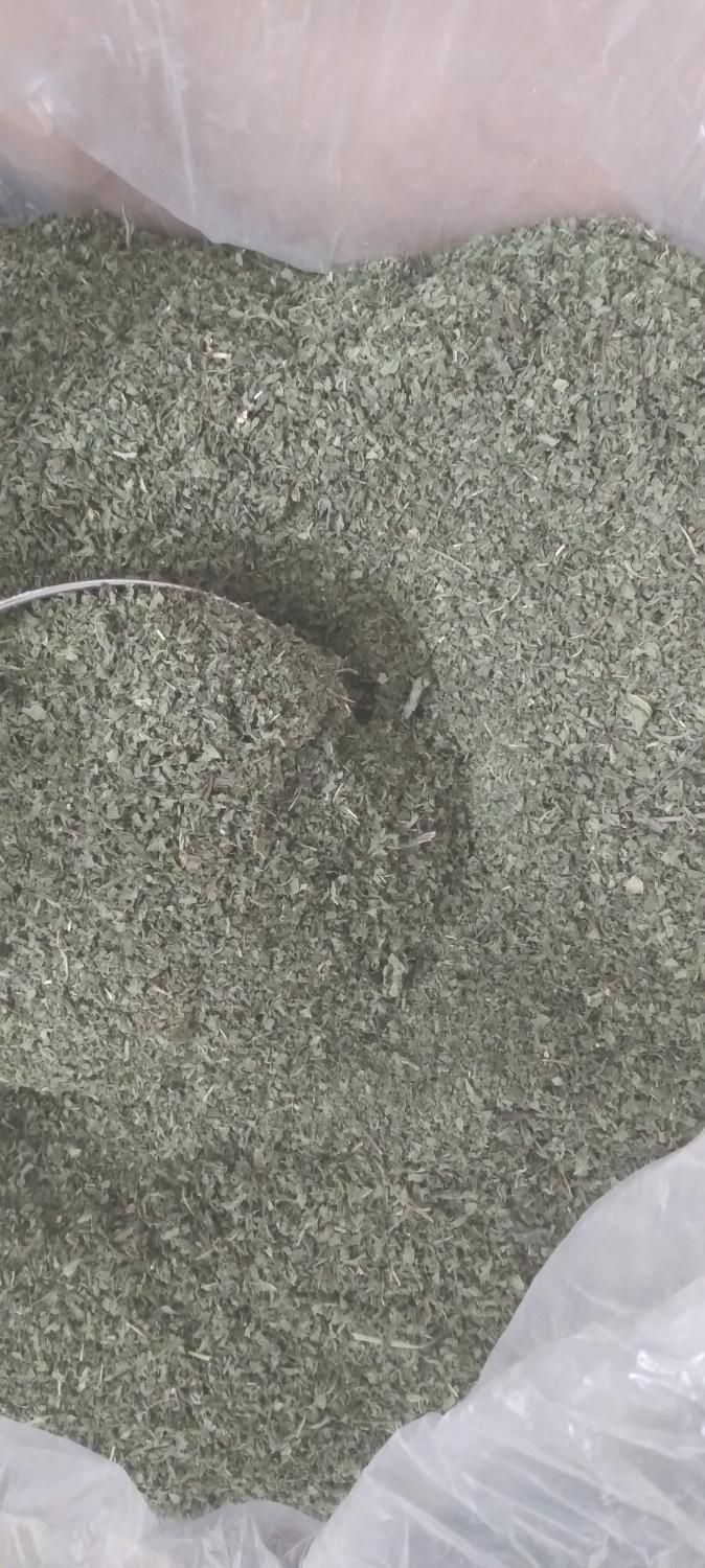 نعناع خشک و پونه|خوردنی و آشامیدنی|پاکدشت, پاکدشت (مامازند)|دیوار