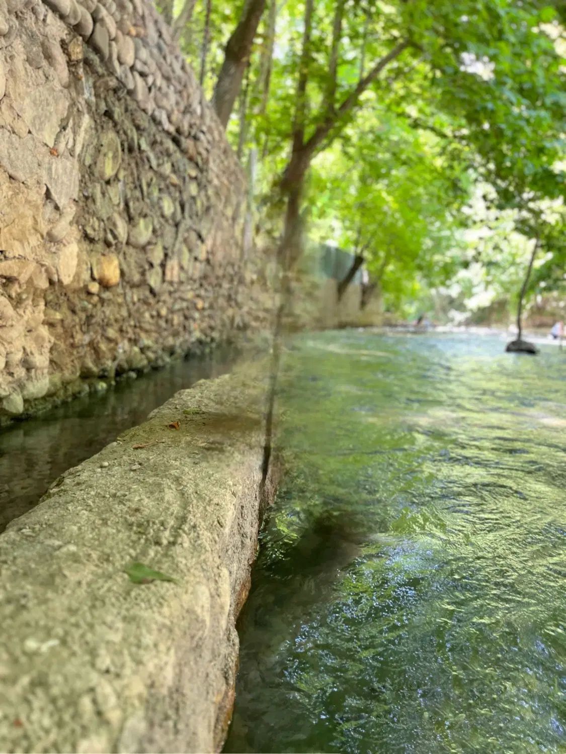 تور یک روز شاد برغان مخصوص بانوان لحظه اخری ۵نفر|تور و چارتر|تهران, تهرانپارس غربی|دیوار