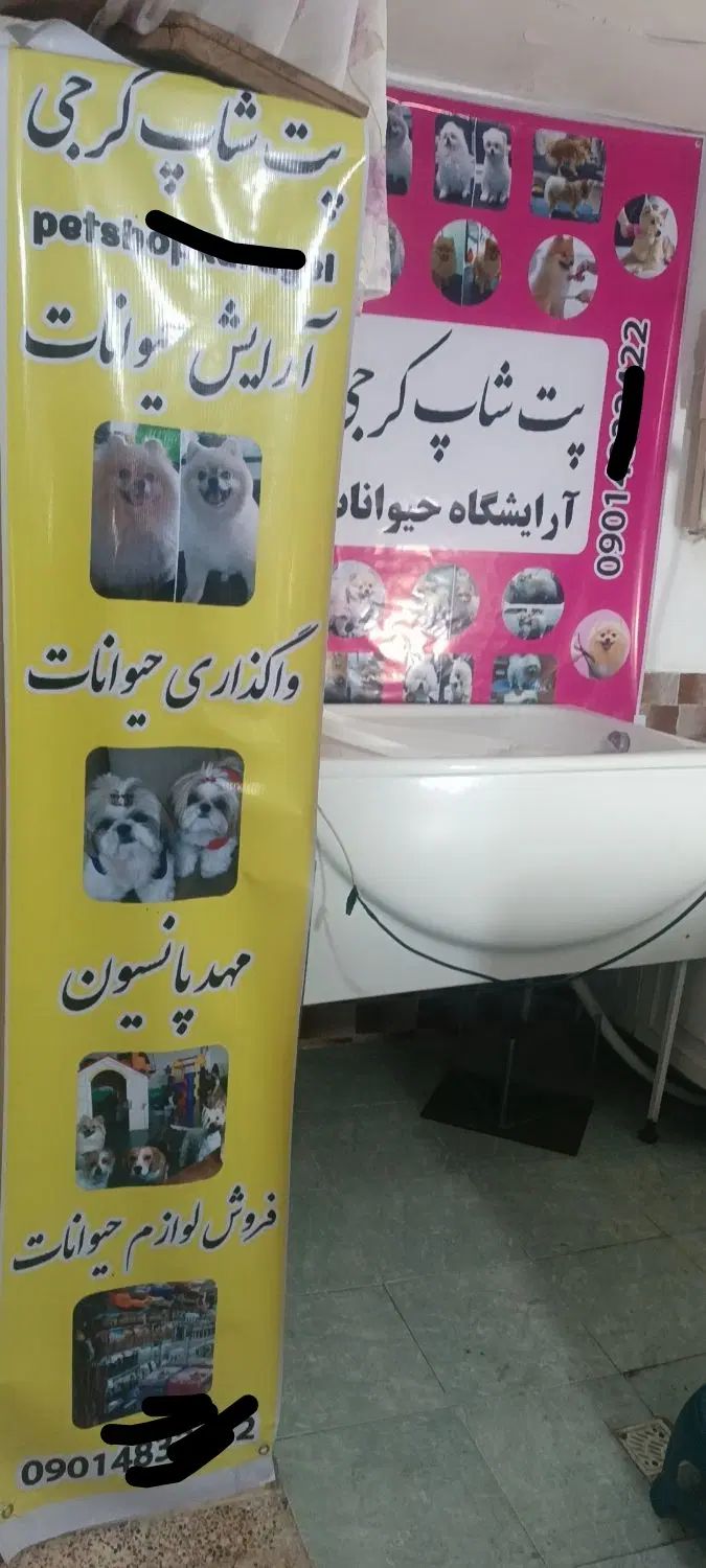 آرایشگرحیوانات نیازمندیم،استخدام آرایشگاه سگ وگربه|استخدام درمانی، زیبایی، بهداشتی|قدس, شهر‌قدس|دیوار