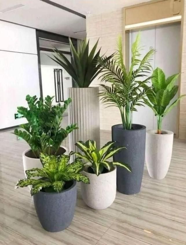 خدمات باغبانی گل کاری هرسکاری و تعویض خاک گلدون|خدمات باغبانی و درختکاری|تهران, تهرانپارس شرقی|دیوار