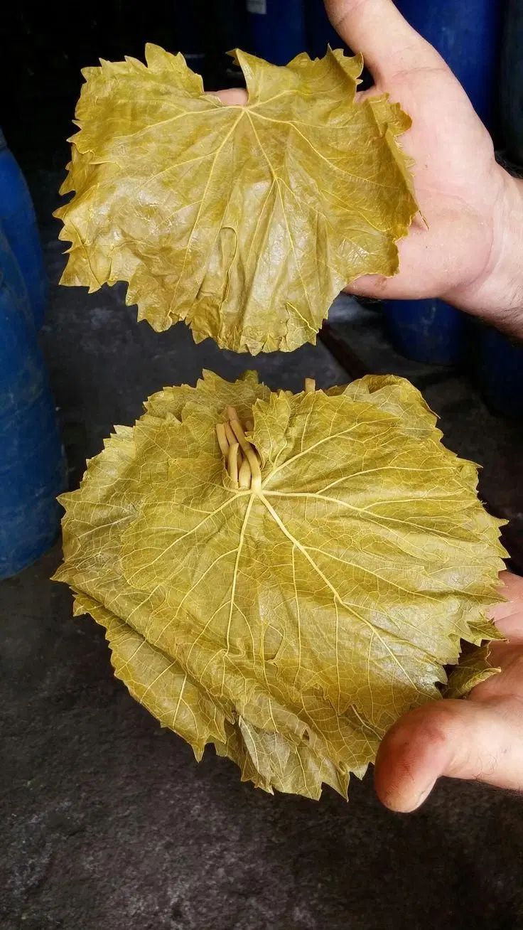 برگ مو شور عمده خرده|خوردنی و آشامیدنی|تهران, شوش|دیوار