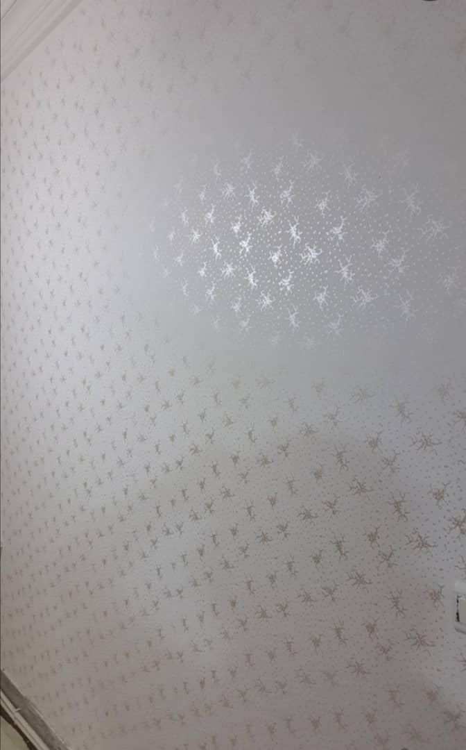 نقاشی ساختمان طرح کاغذدیواری|خدمات پیشه و مهارت|آستانه اشرفیه, |دیوار