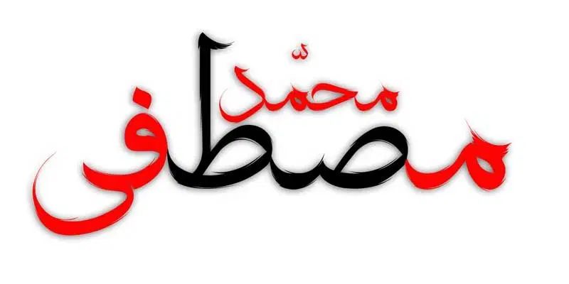قالیشویی و مبل شویی محمد مصطفی (ص)|خدمات نظافت|مشهد, شهرک شهید باهنر|دیوار