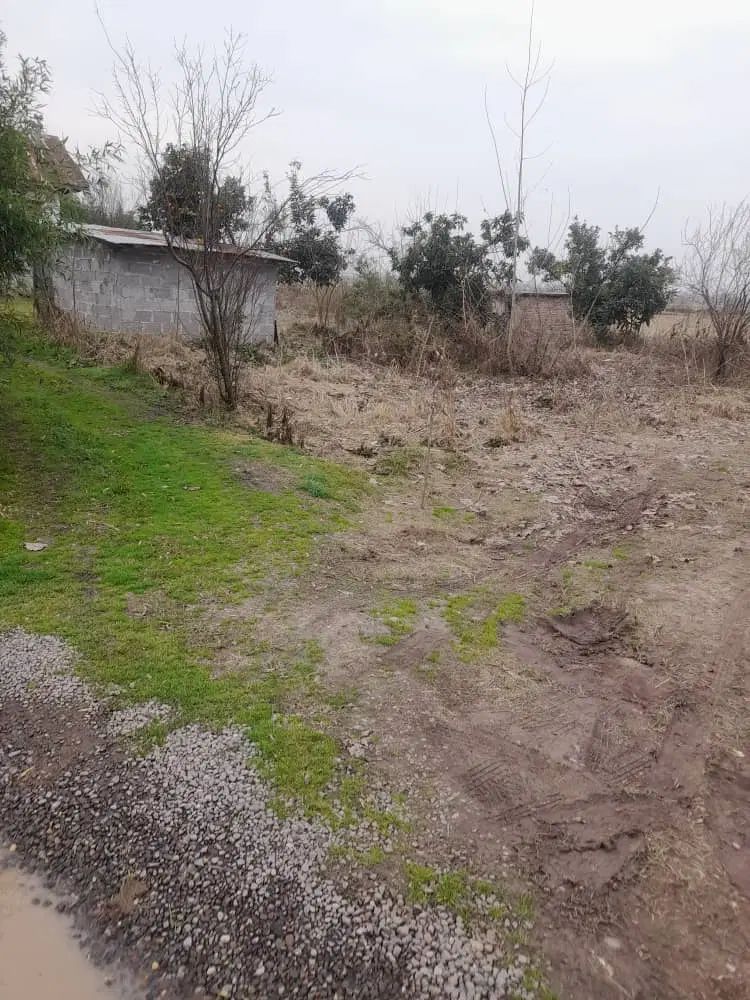 ۳۰۰مسکونی مناسب خیابان لاهیجان ابتدا محل گورابسر|فروش زمین و ملک کلنگی|رشت, بیجارپس|دیوار