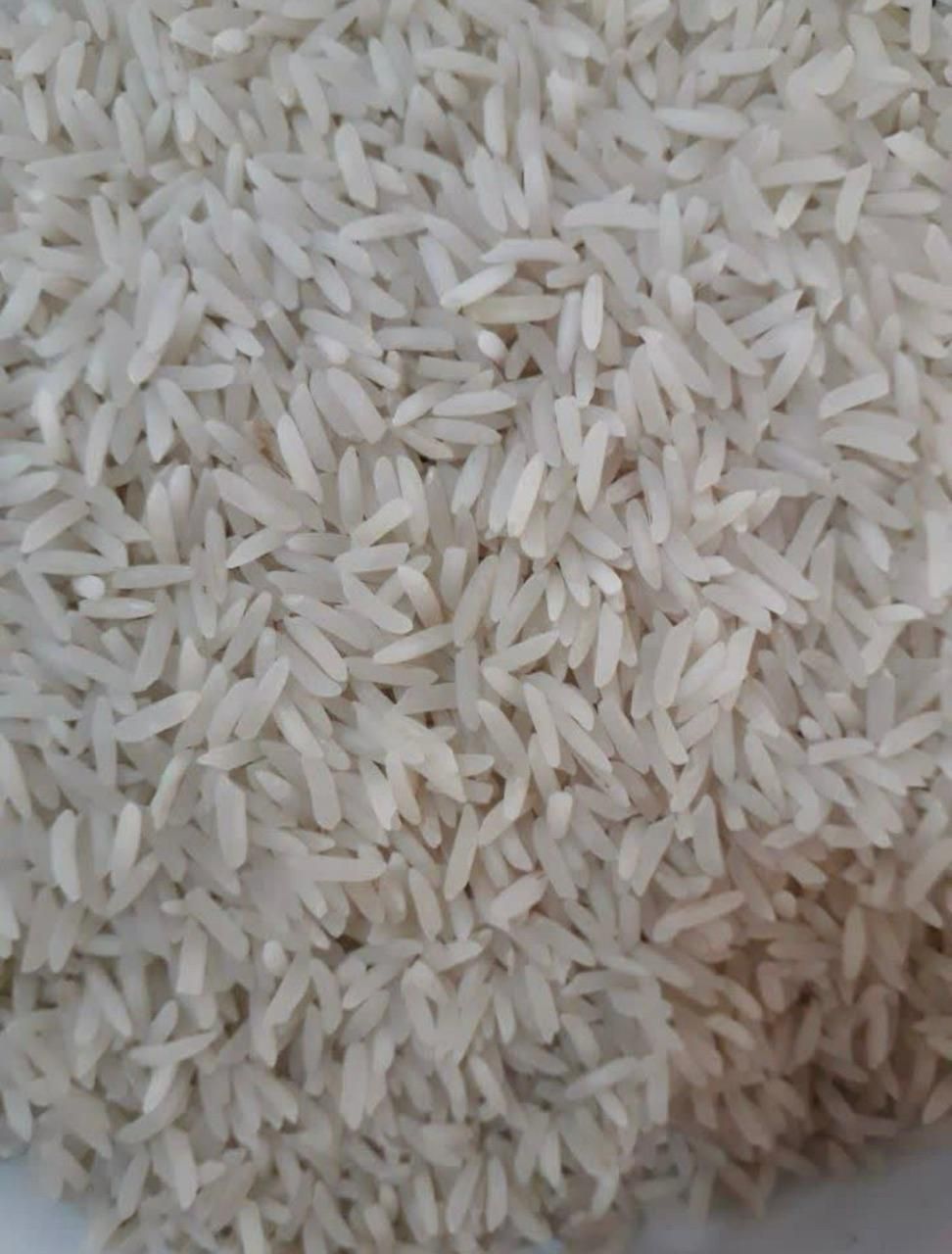 برنج شمال( خوشپخت ) اعلا|خوردنی و آشامیدنی|اصفهان, احمدآباد|دیوار