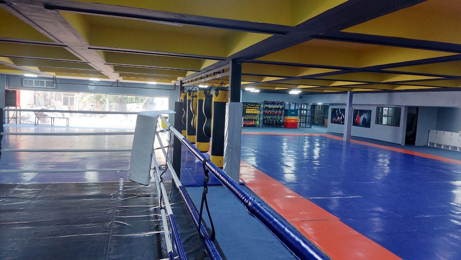 آموزش mma،بوکس،دفاع شخصی|خدمات آموزشی|تهران, دهکده المپیک|دیوار