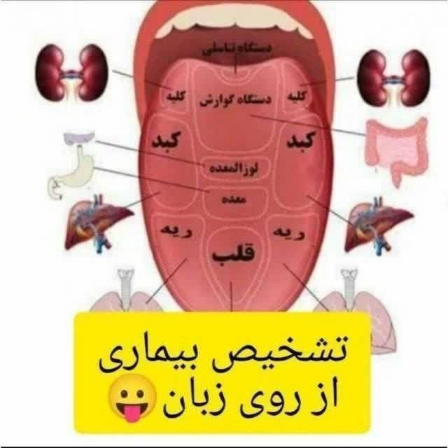 آموزش تخصصی مزاج شناسی|خدمات آموزشی|تربت‌حیدریه, شهرک ولیعصر|دیوار