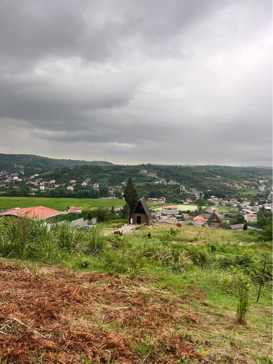 زمین ویودار،280 متر،مناسب کلبه چوبی|فروش زمین و ملک کلنگی|مرزیکلا, |دیوار