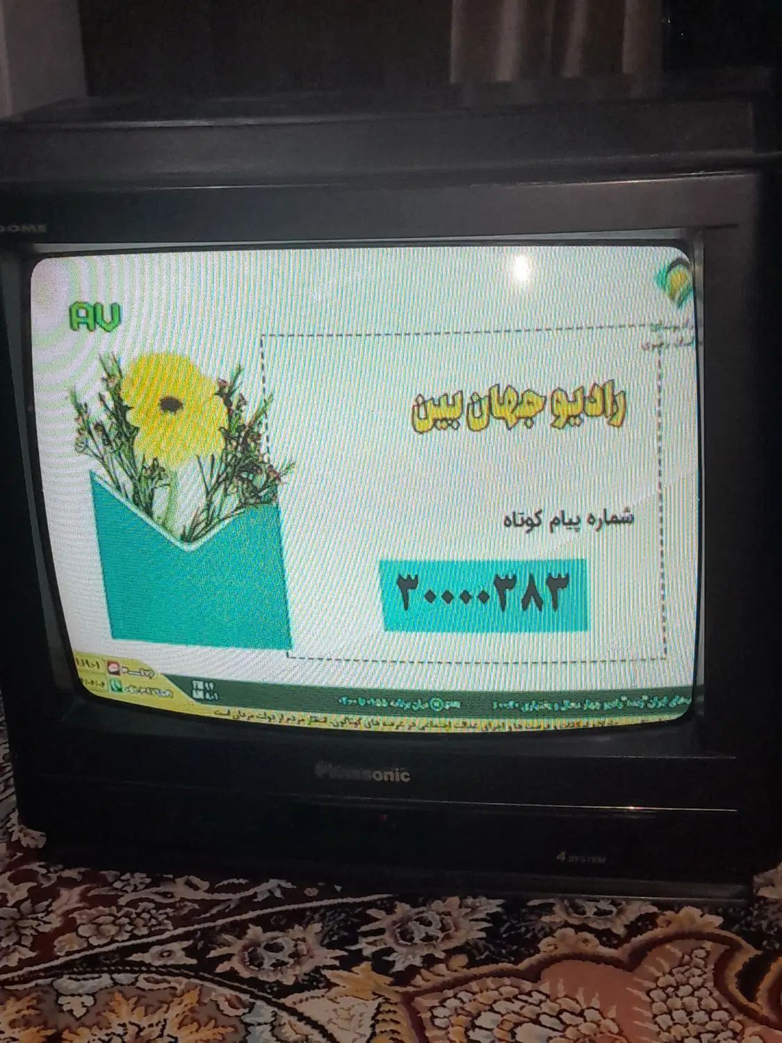 تلویزیون۲۱اینچ پاناسونیک سالم وبدون خط وخش۳۰۰|تلویزیون و پروژکتور|مشهد, طبرسی شمالی|دیوار