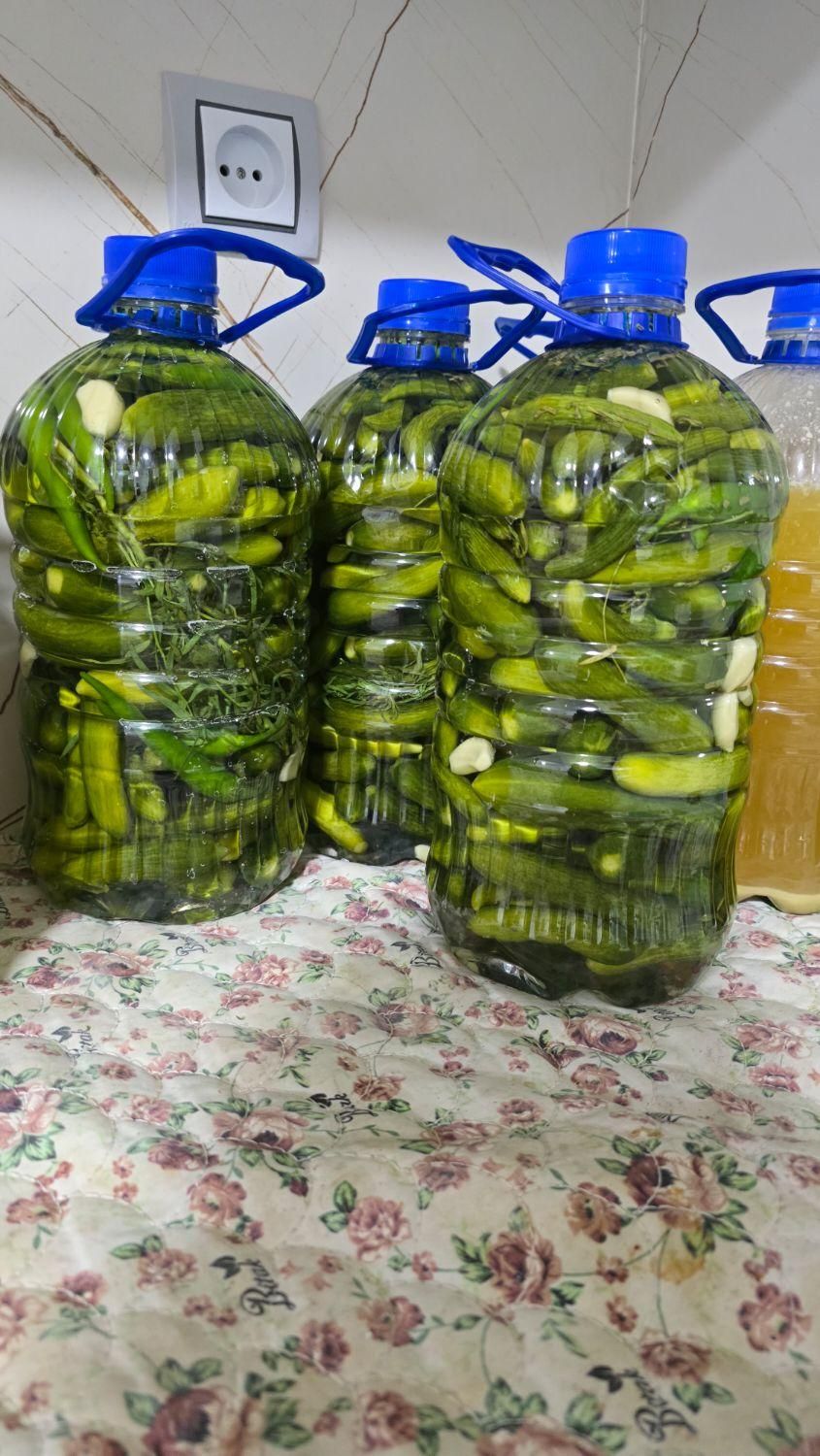 خیارشور خانگی ۴ لیتری|خوردنی و آشامیدنی|مرودشت, ده بید|دیوار