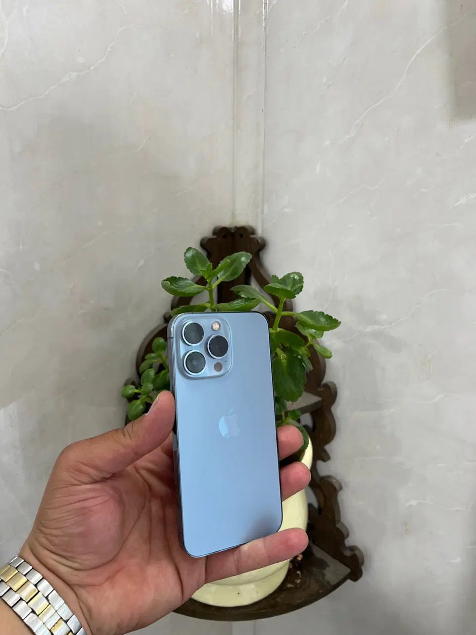 iPhone 13pro 256g LLA|موبایل|ارومیه, |دیوار