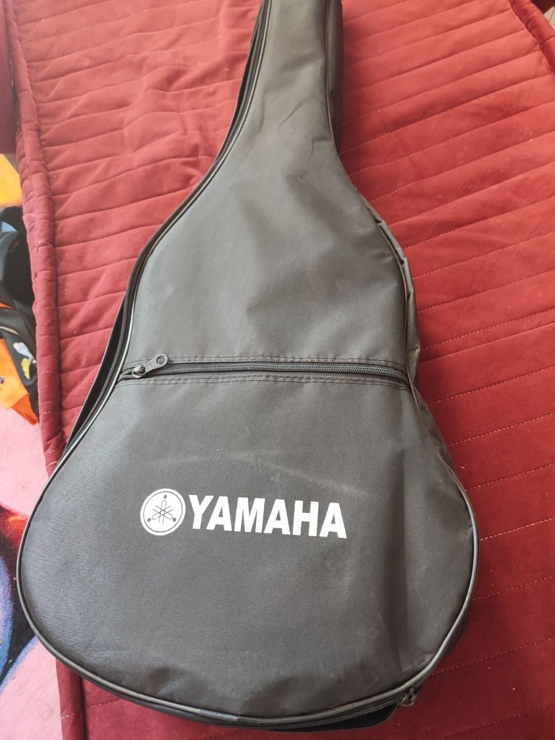 گیتار مدل mv4. همرا گیگ بگ|گیتار، بیس، امپلیفایر|پرند, فاز ۶|دیوار