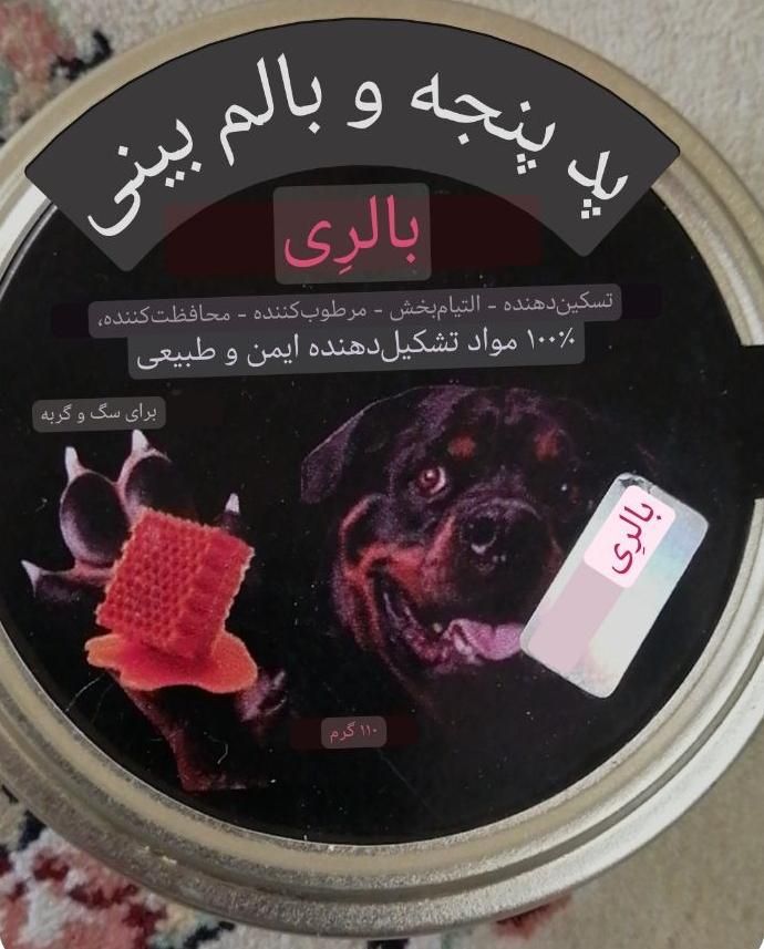 وسایل گربه|لوازم جانبی حیوانات|شیراز, شهرک گلستان|دیوار