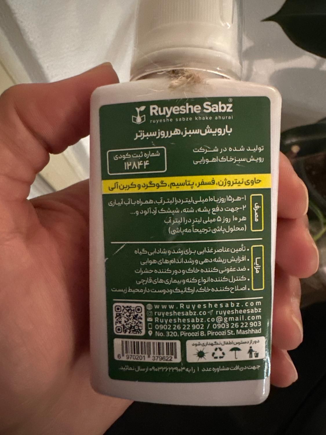 کاشت و نگهداری حرفه‌ای گیاهان آپارتمانی در کیش|خدمات باغبانی و درختکاری|کیش, |دیوار