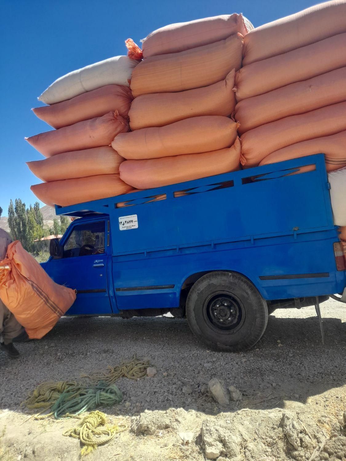 فروش بیده کاه نرمه بنجه پخل گندم پرس یونجه گندم|لوازم جانبی حیوانات|قوچان, |دیوار