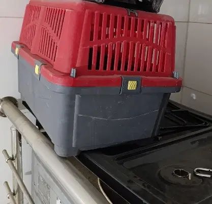 باکس سگ و گربه|لوازم جانبی حیوانات|اصفهان, خواجو|دیوار