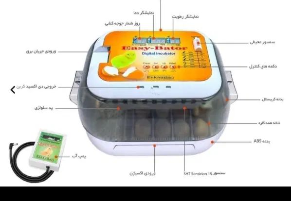 دستگاه جوجه کشی اتومات|لوازم جانبی حیوانات|مشهد, شهرک مهرگان|دیوار