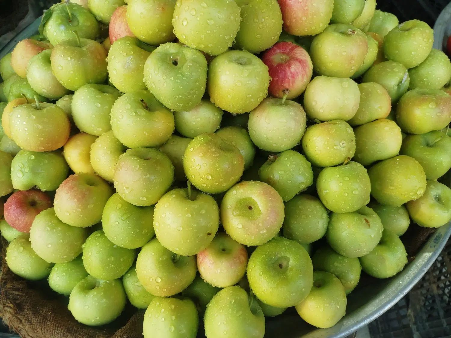 خوردنی و آشامیدنی|خوردنی و آشامیدنی|اصفهان, باغ فدک|دیوار