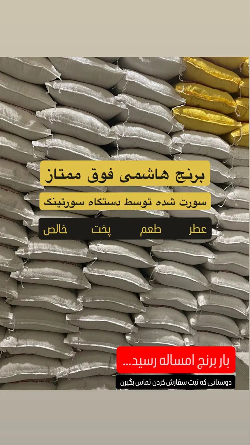 برنج هاشمی فوق ممتاز گیلان|خوردنی و آشامیدنی|کرج, ساسانی (قلمستان)|دیوار