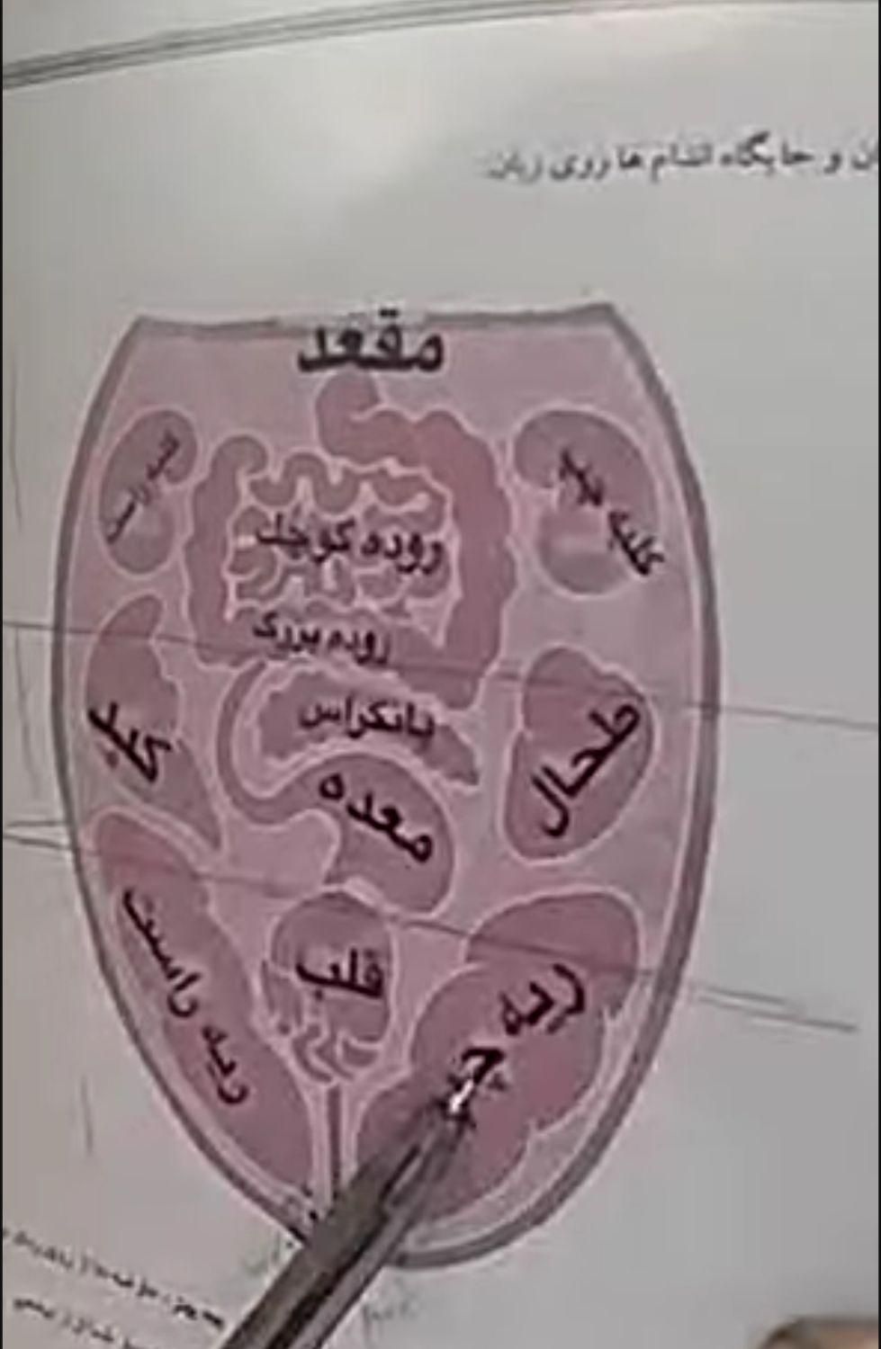 کاردرمنزل آموزش طب سنتی ورسیدن به درآمدعالی|خدمات آموزشی|آبیک, |دیوار