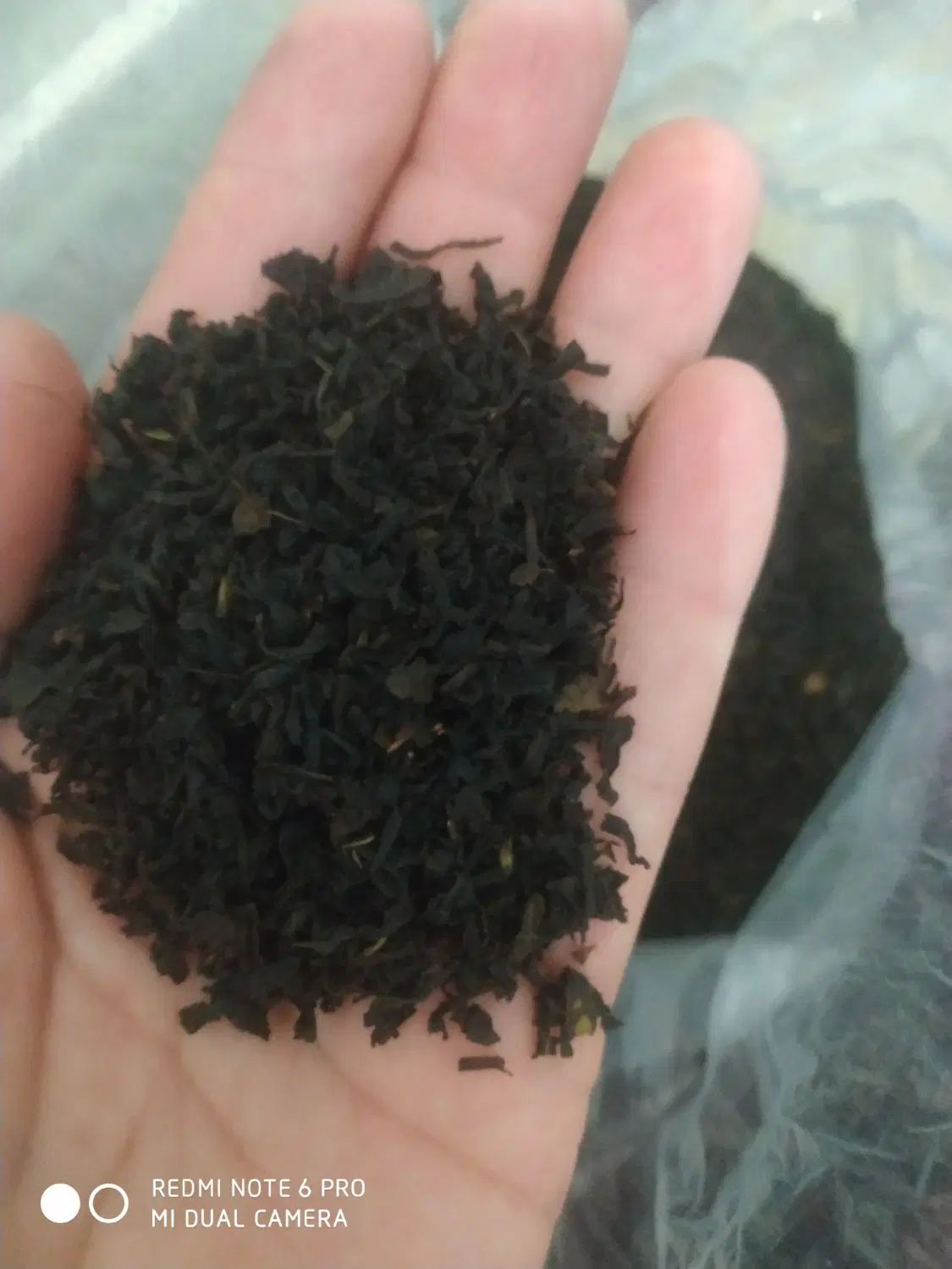 چای بهاره املش خوش عطرچین اول فقط 5 کیلوق 370|خوردنی و آشامیدنی|رشت, حمیدیان|دیوار