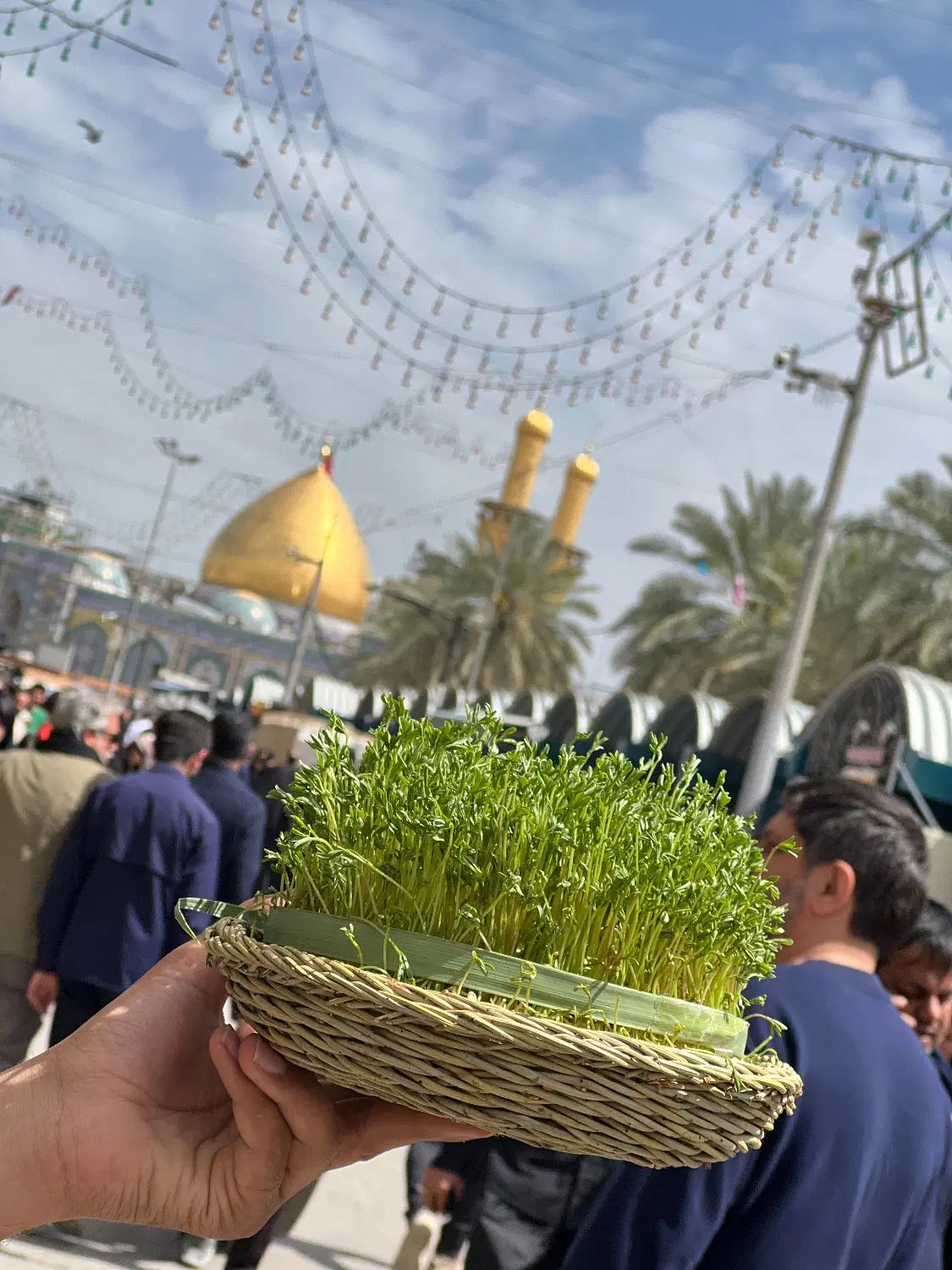 تور کربلا شهادت امام رضا|تور و چارتر|مشهد, ده دی|دیوار