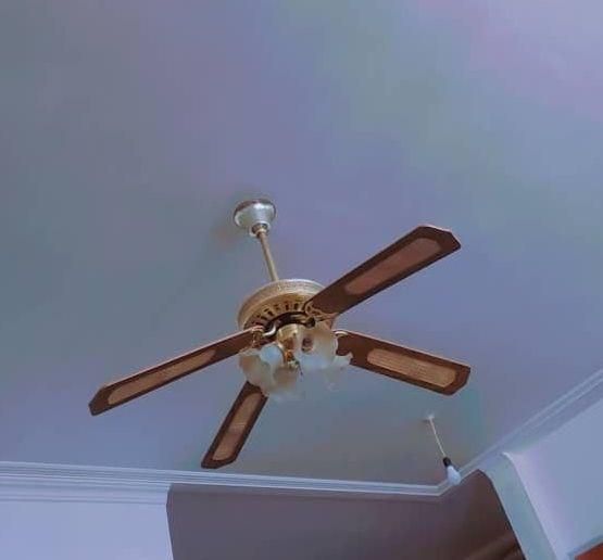 پنکه سقفی لوستردار درحدنو|پنکه و تصفیه‌کنندهٔ هوا|امیدیه, |دیوار