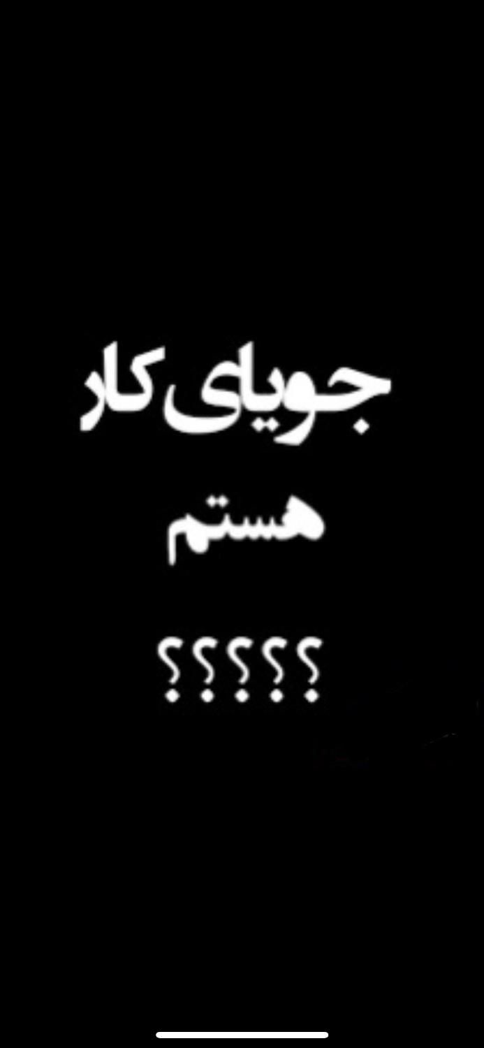 جویای کار|اسکان اضطراری|شیراز, تاچارا|دیوار