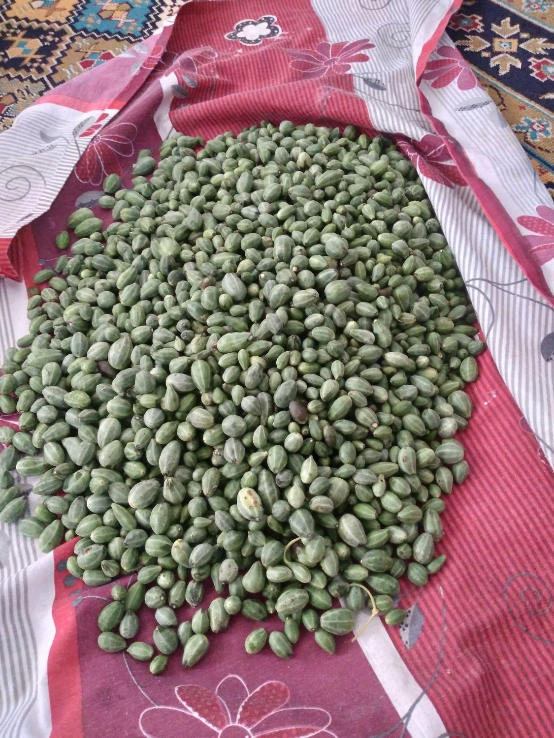 لگجی کیلویی ۱۰۰|خوردنی و آشامیدنی|شوشتر, |دیوار