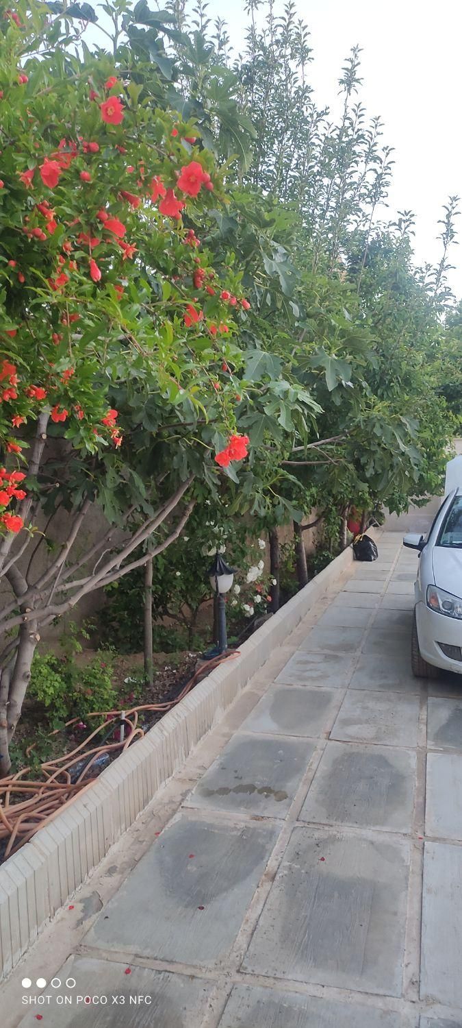 اجاره روزانه ویلا|اجارهٔ کوتاه‌مدت آپارتمان و سوئیت|هشتگرد, هیو|دیوار