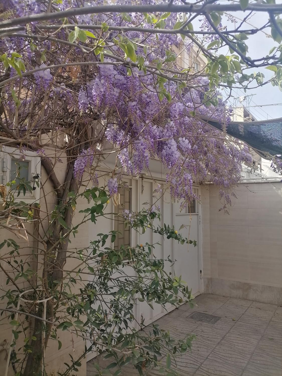 فروش خانه ویلایی بازسازی شده چندقدمی باهنر|فروش خانه و ویلا|اصفهان, دستگرده|دیوار