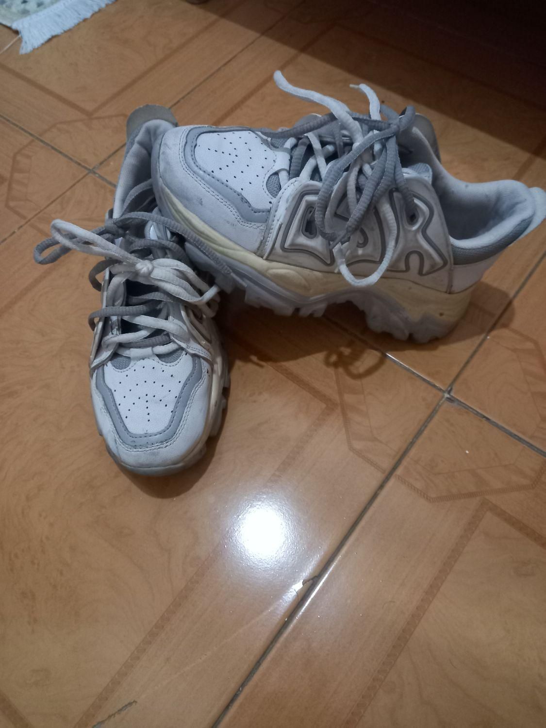 کتونی زنانه|کیف، کفش، کمربند|بومهن, |دیوار