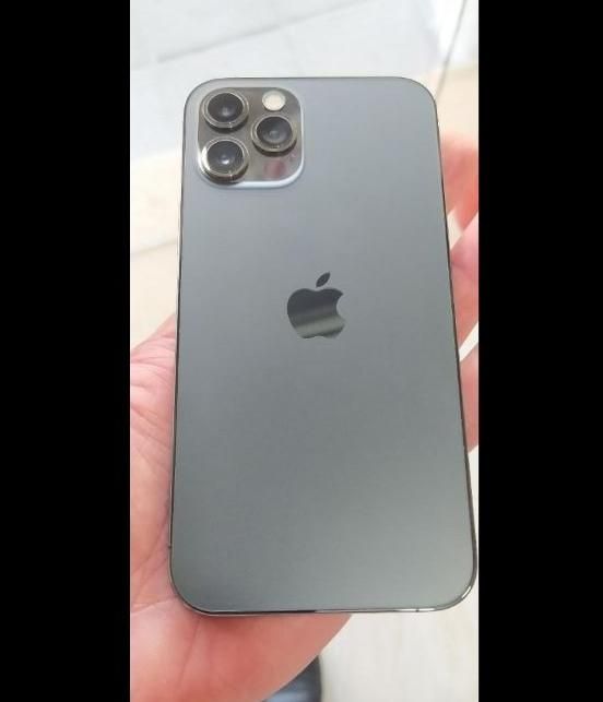 اپل iPhone 12 Pro ۲۵۶ باطری ۱۰۰|موبایل|رشت, کاکتوس|دیوار
