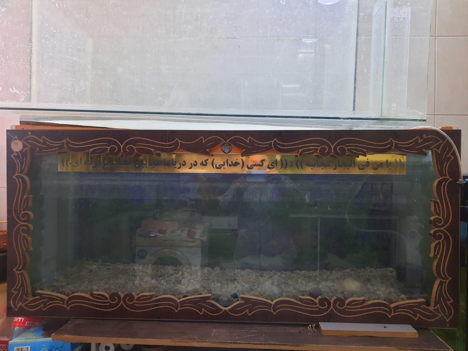 آکواریوم های کوچکتر از ۱ متر یا حدود ۱ متر متنوع|ماهی|قم, سراجه (۱۵ خرداد)|دیوار