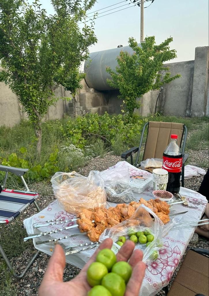 باغ ۱۰۰۰متری سند ملکی آب و برق پردیس سران|فروش خانه و ویلا|مشهد, توس (بلوار توس)|دیوار