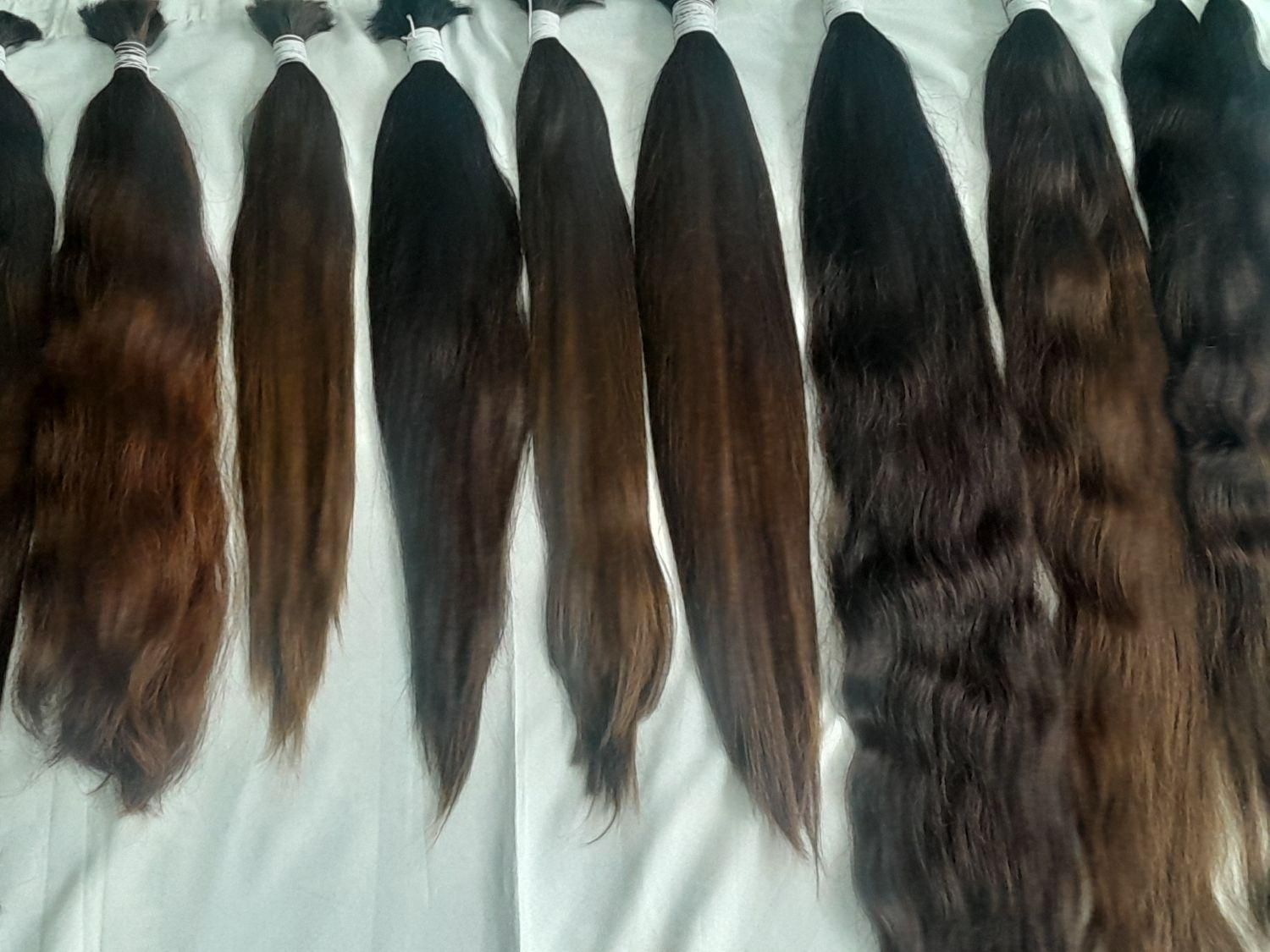 فروش موهای خود را به ما بسپارید|آرایشی، بهداشتی، درمانی|بجنورد, |دیوار