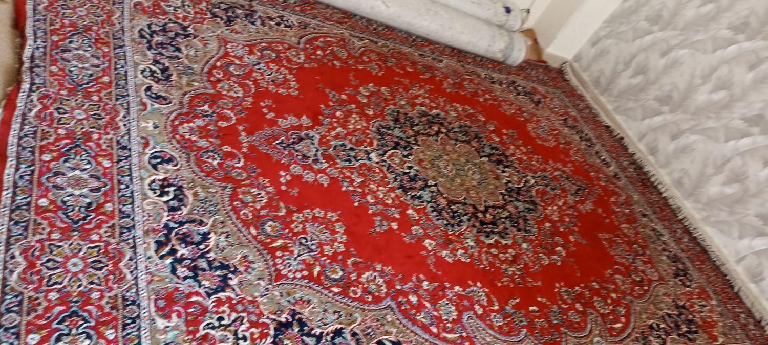 فرش 12متری|فرش|اشتهارد, |دیوار